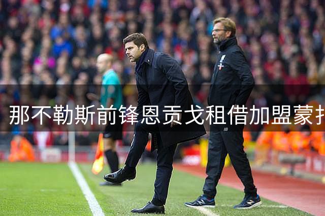 那不勒斯前锋恩贡戈租借加盟蒙扎 含买断条款